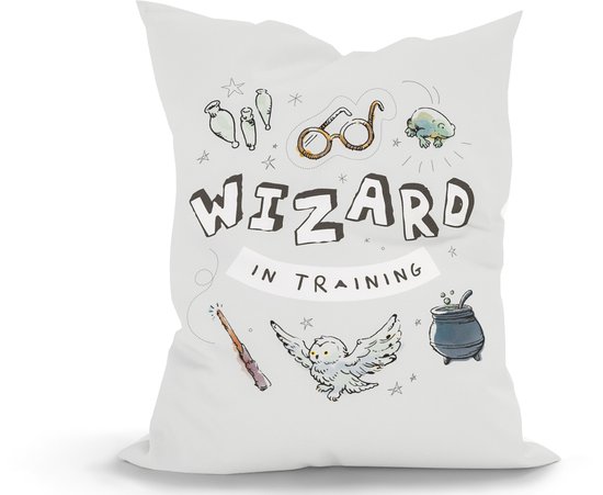 Green Bean® Kinderzitzak Harry Potter 100x135cm met 270 liter hoogwaardige EPS-korrelvulling en wasbare motiefhoes van 100% katoen