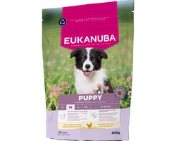 Eukanuba Hondenvoer Droog Life Care Puppy Medium Kip 800 gr