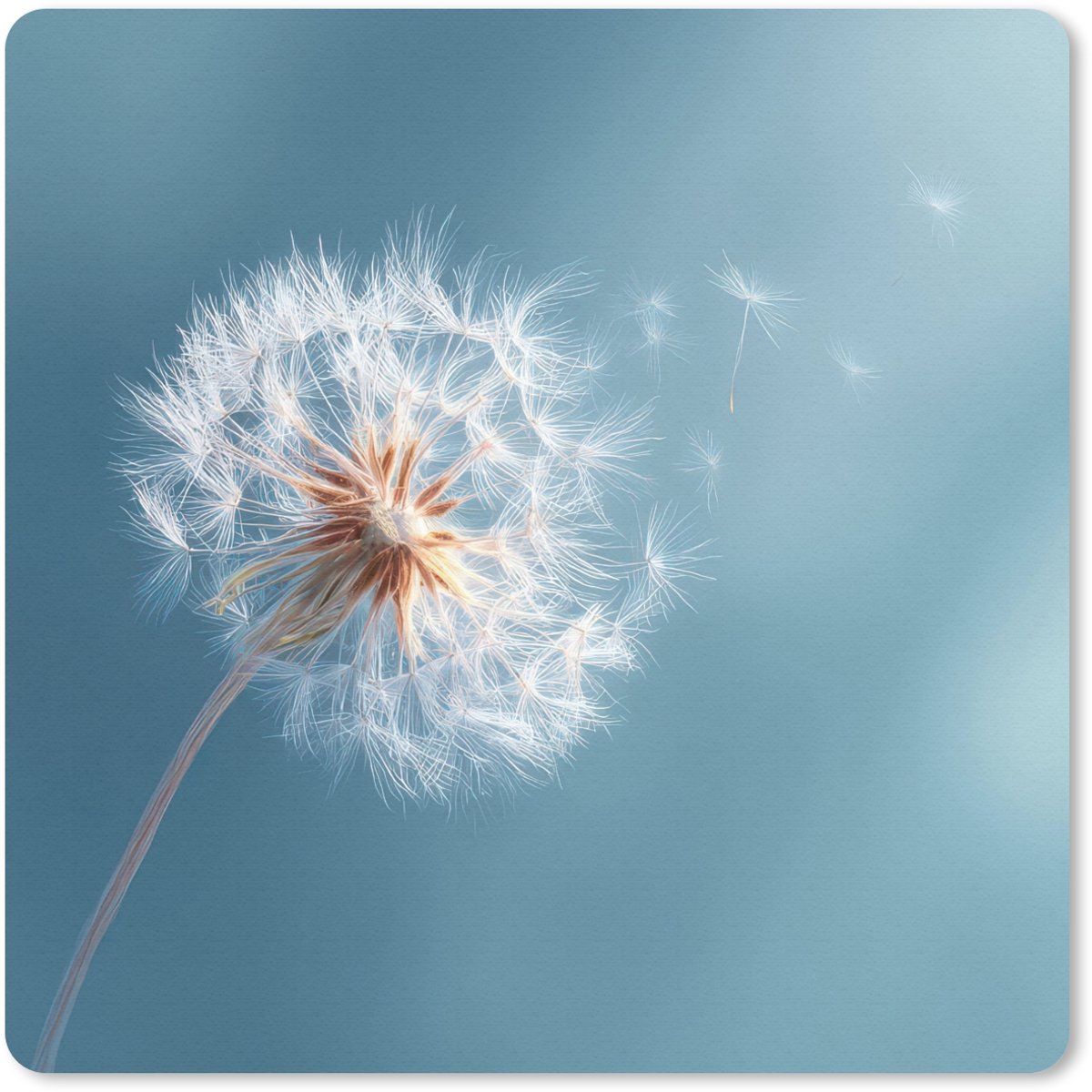 Muismat 30x30 cm - Mousepad Paardenbloem - Wind - Blauw - Muismatten
