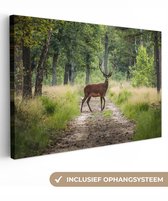 Canvas schilderij 180x120 cm - Wanddecoratie Bos - Hert - Bomen - Muurdecoratie woonkamer - Slaapkamer decoratie - Kamer accessoires - Schilderijen op canvas