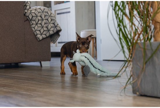 Un chiot brun aux grandes oreilles porte une longue peluche vert menthe avec des pattes grises.