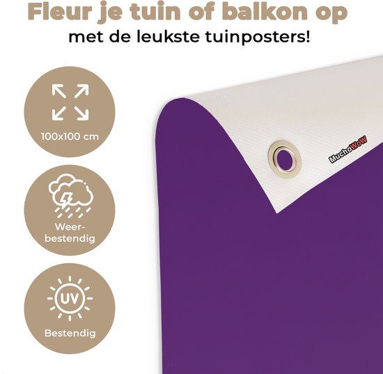 Tuinposter 100x100 cm - Tuindecoratie Passievrucht - Zaadjes - Paars - Minimalistisch - Poster voor in de tuin - Buiten decoratie - Schutting tuinschilderij - Tuindoek muurdecoratie - Wanddecoratie balkondoek