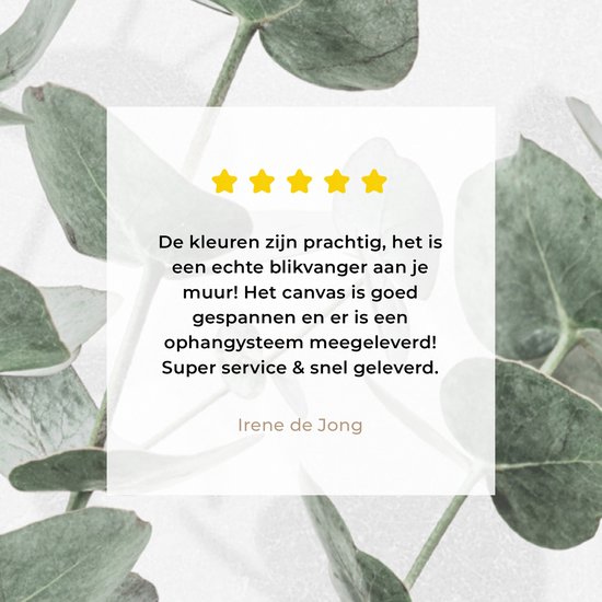 Een klantrecensie met sterren en tekst over een canvas met eucalyptusbladeren.