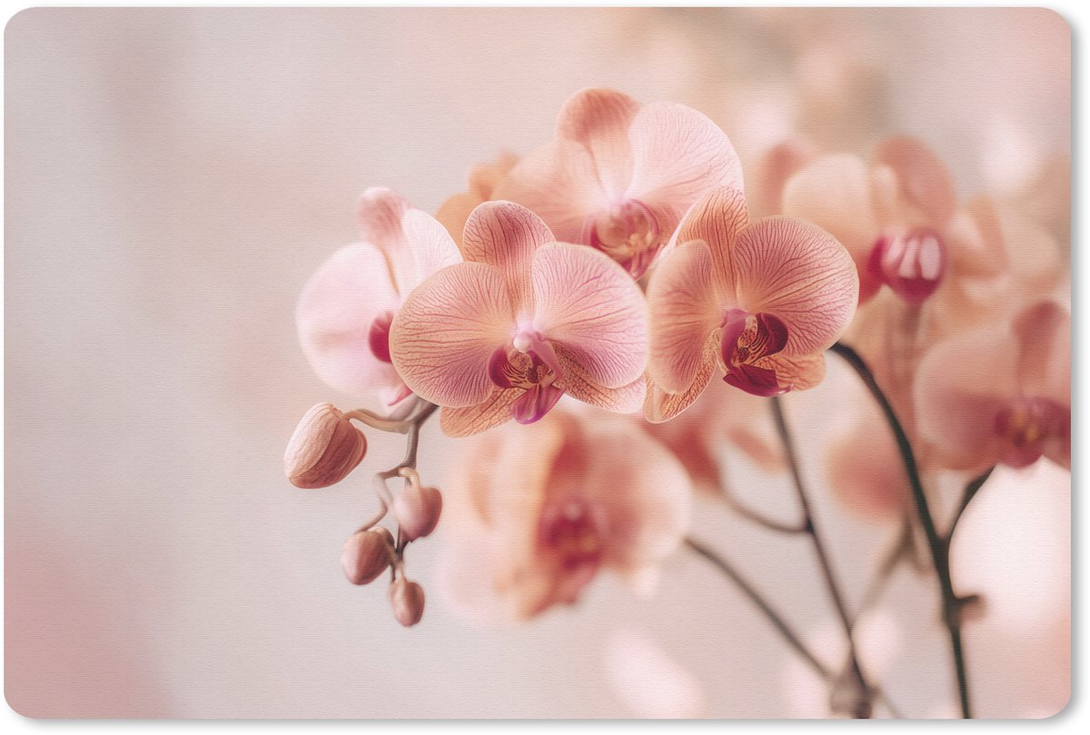 Muismat 27x18 cm - Mousepad Orchidee - Bloemen - Roze - Bloemblaadjes - Muismatten
