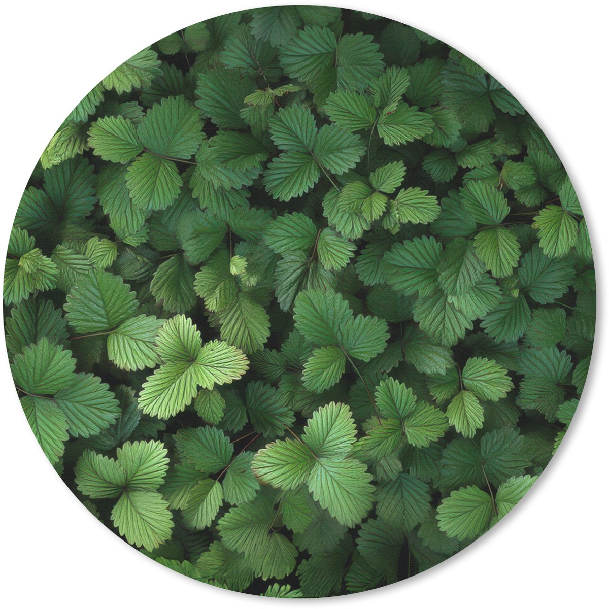 Muismat rond 30x30 cm - Mousepad Groen - Bladeren - Kartel - Zonlicht - Ronde muismatten