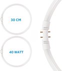 Twee witte cirkelvormige TL-buizen; één van 30 cm en één van 40 Watt, met 2 contactpunten.