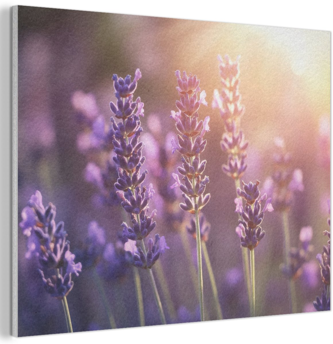 Akoestisch wandpaneel 70x50 cm - Vilt schilderij Lavendelbloemen - Paars - Zonlicht - Akoestische panelen - Geluidsdempende wanddecoratie - Geluidsisolatie woonkamer - Muurdecoratie geluidspanelen