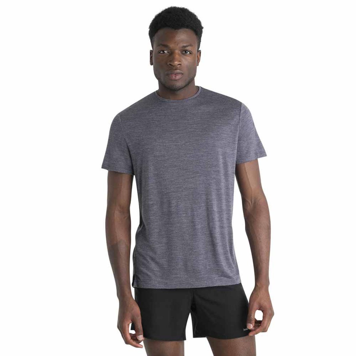 Icebreaker Merino 125 Cool-lite Sphere Iii T-shirt Met Korte Mouwen Grijs S Man