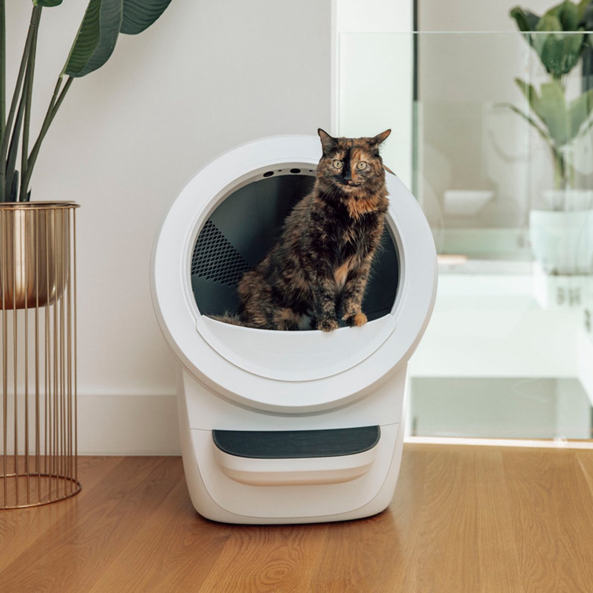 Litter-Robot 4 - Zelfreinigende kattenbak met Whisker app thumbnail 4