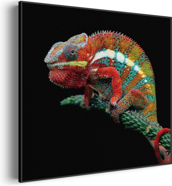 Akoestisch Schilderij De Kameleon Zittend Op Plant Vierkant Basic L (80 X 80 CM) - Akoestisch paneel - Akoestische Panelen - Akoestische wanddecoratie - Akoestisch wandpaneel