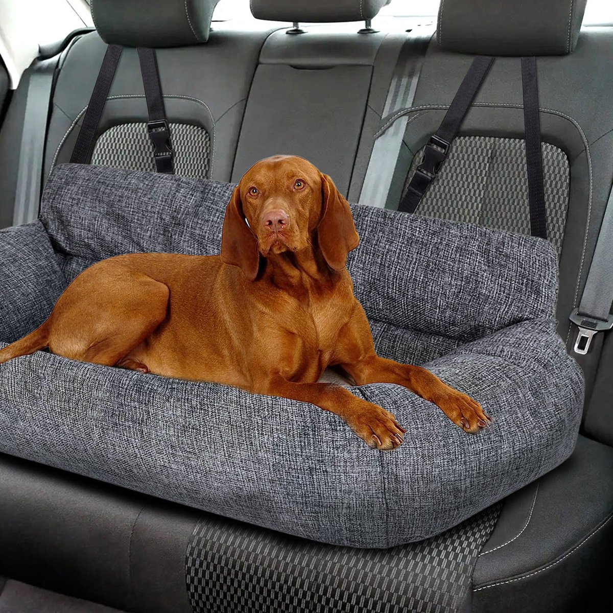 CALIYO Hondenmand Auto - 90 x 40 x 21 cm - Groot honden - en kattenbed | Dierenmand Autostoel Hond Hondenkussen - Hond Autogordel - Geschikt voor alle honden en katten – foto 2