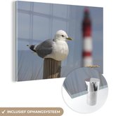 MuchoWow® Glasschilderij 120x80 cm - Schilderij acrylglas - Stormmeeuw zit voor een vuurtoren - Foto op glas - Schilderijen