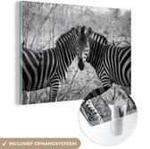 MuchoWow® Glasschilderij 150x100 cm - Schilderij acrylglas - Twee zebra's - Foto op glas - Schilderijen