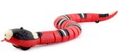 EDMONDO Interactief Kattenspeeltje - Kattenspeelgoed - Bewegende Slang Speelgoed - USB Oplaadbaar - De rode slang - In LUXE Cadeauverpakking - Rood met zwart