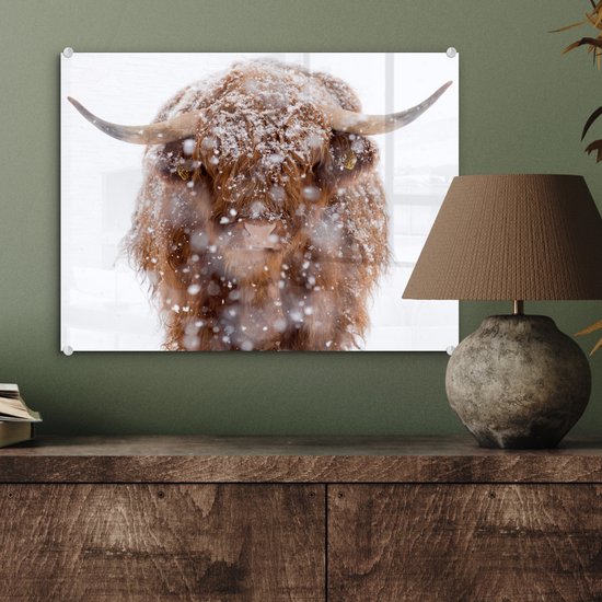 MuchoWow® Peinture sur Verre - Highlander écossais - Cornes - Neige - 40x30 cm - Peintures sur Verre Acrylique - Photo sur Glas