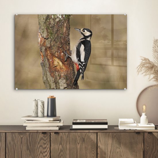 Un grand pic tacheté en automne Plexiglas 60x40 cm - Tirage photo sur Glas (décoration murale plexiglas)