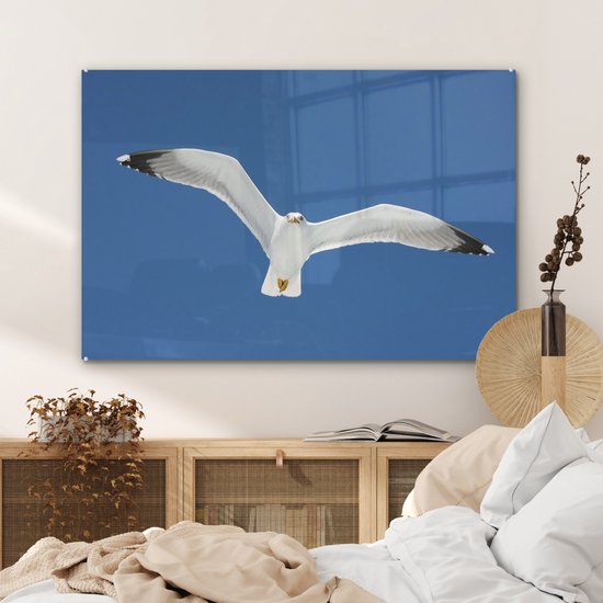 Une photo d'un goéland argenté aux ailes déployées Plexiglas 90x60 cm - Tirage photo sur Glas (décoration murale en plexiglas)