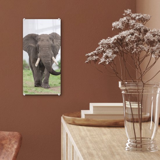 MuchoWow® Peinture sur verre 20x40 cm - Peinture sur verre acrylique - Éléphant - Animaux - Herbe - Nature - Photo sur verre - Peintures