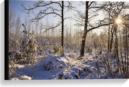 Canvas - Landschap - Winter - Bomen - Planten - Sneeuw - Zon - 60x40 cm Foto op Canvas Schilderij (Wanddecoratie op Canvas)
