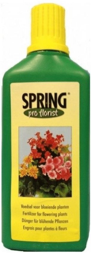 Acheter Plante Exterieur Murier Black Satin Jardin Lot 3