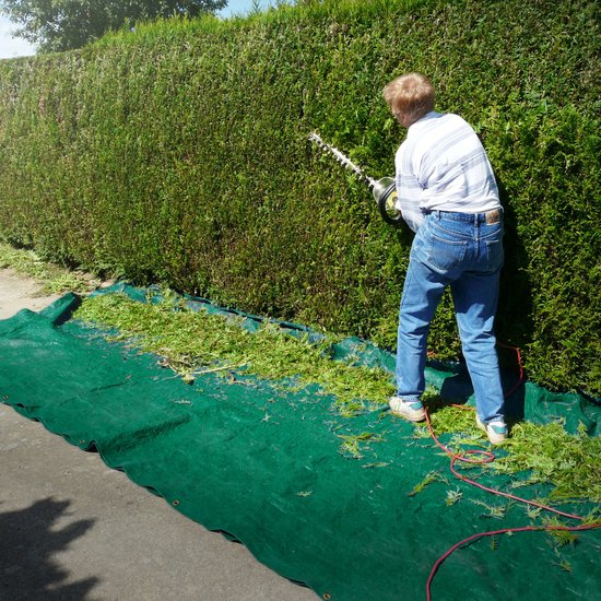 Perfect Cover Waterdicht afdekzeil, sterk, met ingestanste ringen, voor tuinmeubelen, zwembad, auto, caravan, uv-bestendig, scheurvast, op maat ( groen, 2x3
