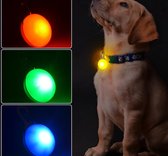 Veiligheidslamp Voor Hond I LED Honden Cadellight I Dierenlampje I Lampje Hondenhalsband I Geel