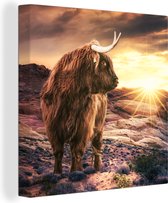 Koe - Schotse hooglander - Stenen - Canvas - 50x50 cm - Wanddecoratie