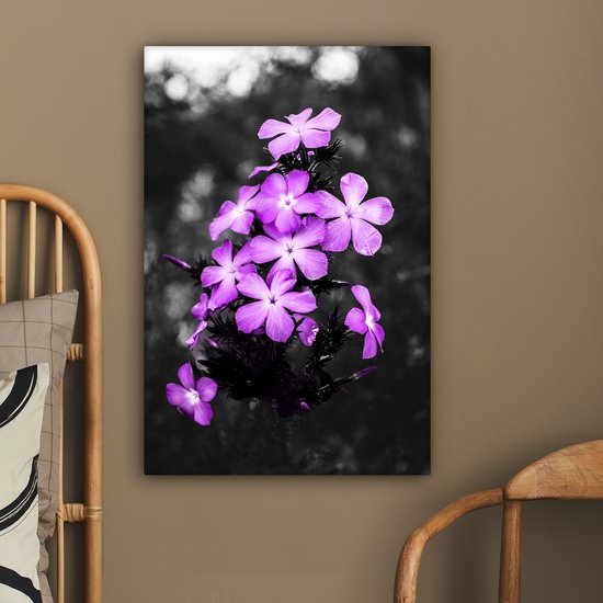 Peintures sur Toile Fleurs - Violet - Zwart - Wit - 40x60 cm - Décoration murale