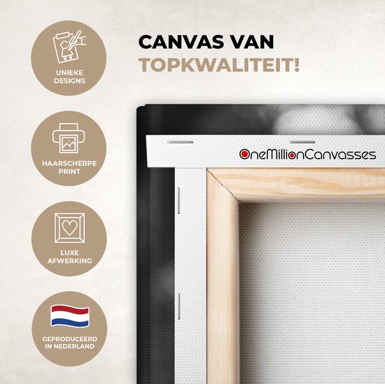 Peintures sur Toile Fleurs - Violet - Zwart - Wit - 40x60 cm - Décoration murale