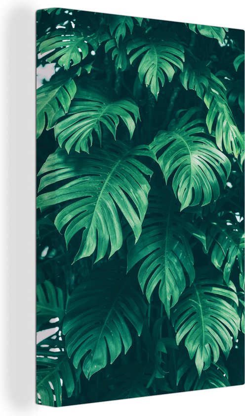 Canvas Schilderij Monstera - Bladeren - Planten - Jungle - Natuur - 80x120 cm - Wanddecoratie