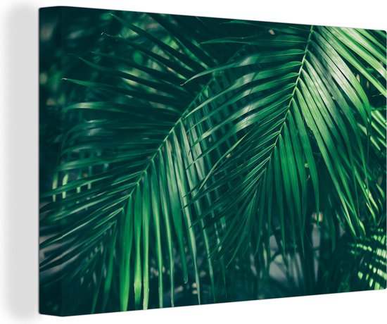 Canvas Schilderij Palmbladeren - Macro - Groen - Meisjes - Kinderen - Jongens - 90x60 cm - Wanddecoratie