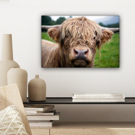 Toile Highlander écossais poilue 2cm