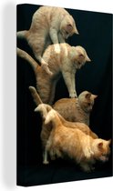 Canvas schilderij 90x140 cm - Wanddecoratie Springende kat - Muurdecoratie woonkamer - Slaapkamer decoratie - Kamer accessoires - Schilderijen