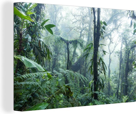Canvas Schilderij Mistig regenwoud in Costa Rica - Wanddecoratie