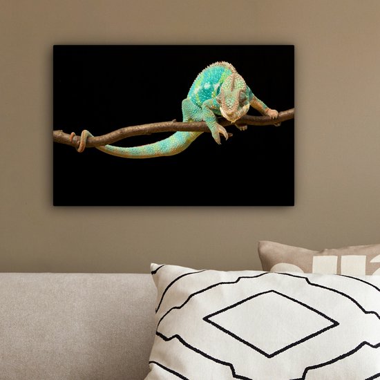 Gros plan sur toile caméléon panthère 2cm 30x20 cm - petit - tirage photo sur toile (Décoration murale salon / chambre)