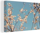 Blossom Canvas 180x120 cm - Tirage photo sur toile (Décoration murale salon / chambre) XXL / Grand format!