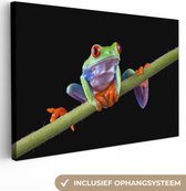 Canvas Schilderij Kikker - Plant - Zwart - 90x60 cm - Wanddecoratie