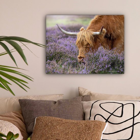 Tableau sur toile Scottish Highlander - Animaux - Bruyère - 40x30 cm - Décoration murale