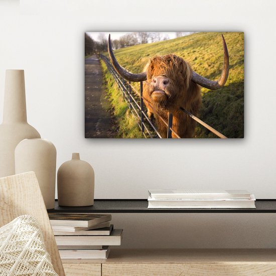 Peinture sur toile Highlander écossais - Clôture - Herbe - 30x20 cm - Décoration murale