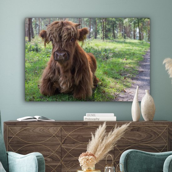 Tableau sur Toile Scottish Highlander - Crapaud - Animaux - 120x80 cm - Décoration murale