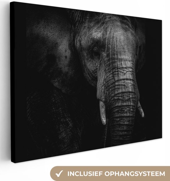 Canvas schilderij 160x120 cm - Wanddecoratie Portret van een olifant in zwart-wit tegen een donkere achtergrond - Muurdecoratie woonkamer - Slaapkamer decoratie - Kamer accessoires - Schilderijen