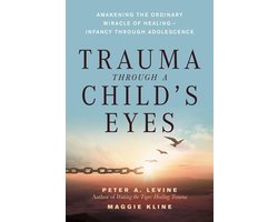 Omslag van Trauma Through a Child's Eyes