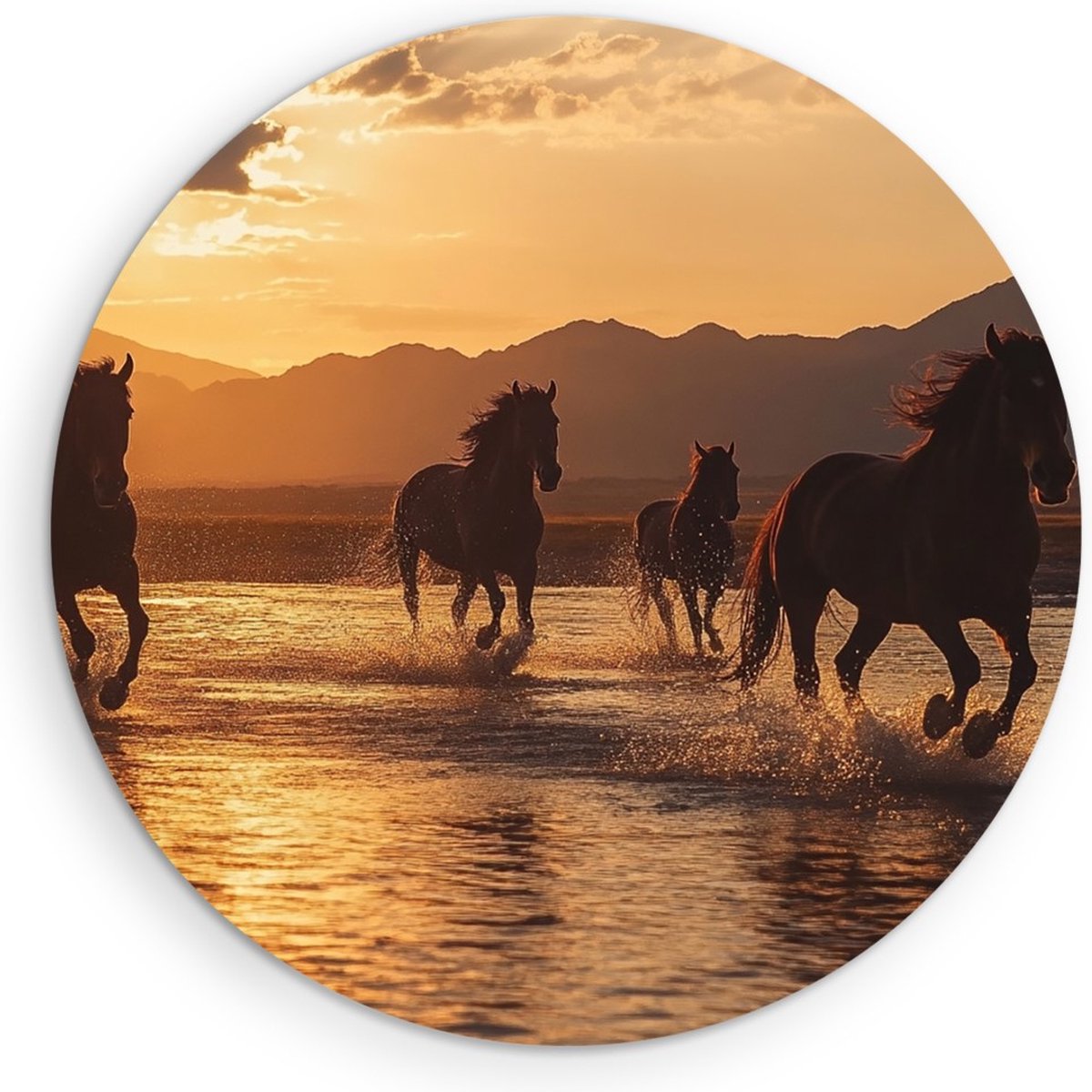 Saammp Muurcirkel Hout - Groep paarden tijdens golden hour - Dieren - Natuur - Ø 80 - Wandcirkel - Wanddecoratie Cirkel - muurdecoratie Woonkamer - Slaapkamer decoratie - Rond Schilderij
