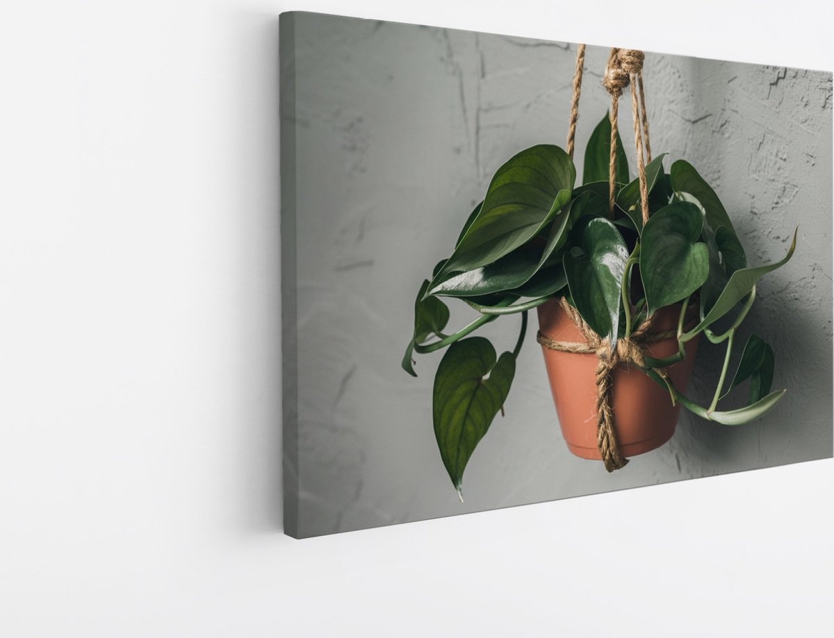 Saammp Canvas Schilderij - Hangplant Hartvormige Bladeren - Natuur - Abstract - 120x80 - Foto op canvas - Wanddecoratie - Muurdecoratie Woonkamer - Kantoor Decoratie Multicolor