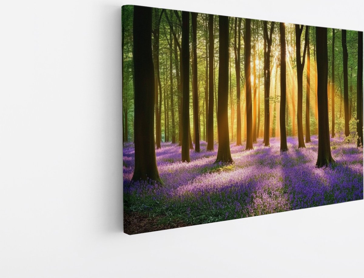 Saammp Canvas Schilderij - Natuur - weg door het bos - Herfst - landschappen - 50x40 - Foto op canvas - Wanddecoratie - Muurdecoratie Woonkamer - Slaapkamer decoratie - Canvas Print Multicolor