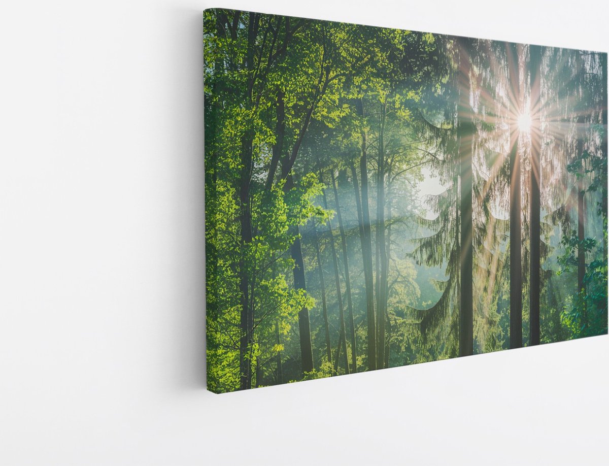 Saammp Canvas Schilderij - Zon tussen de bomen - Bos - Landschap - Natuur - 45x30 - Foto o
