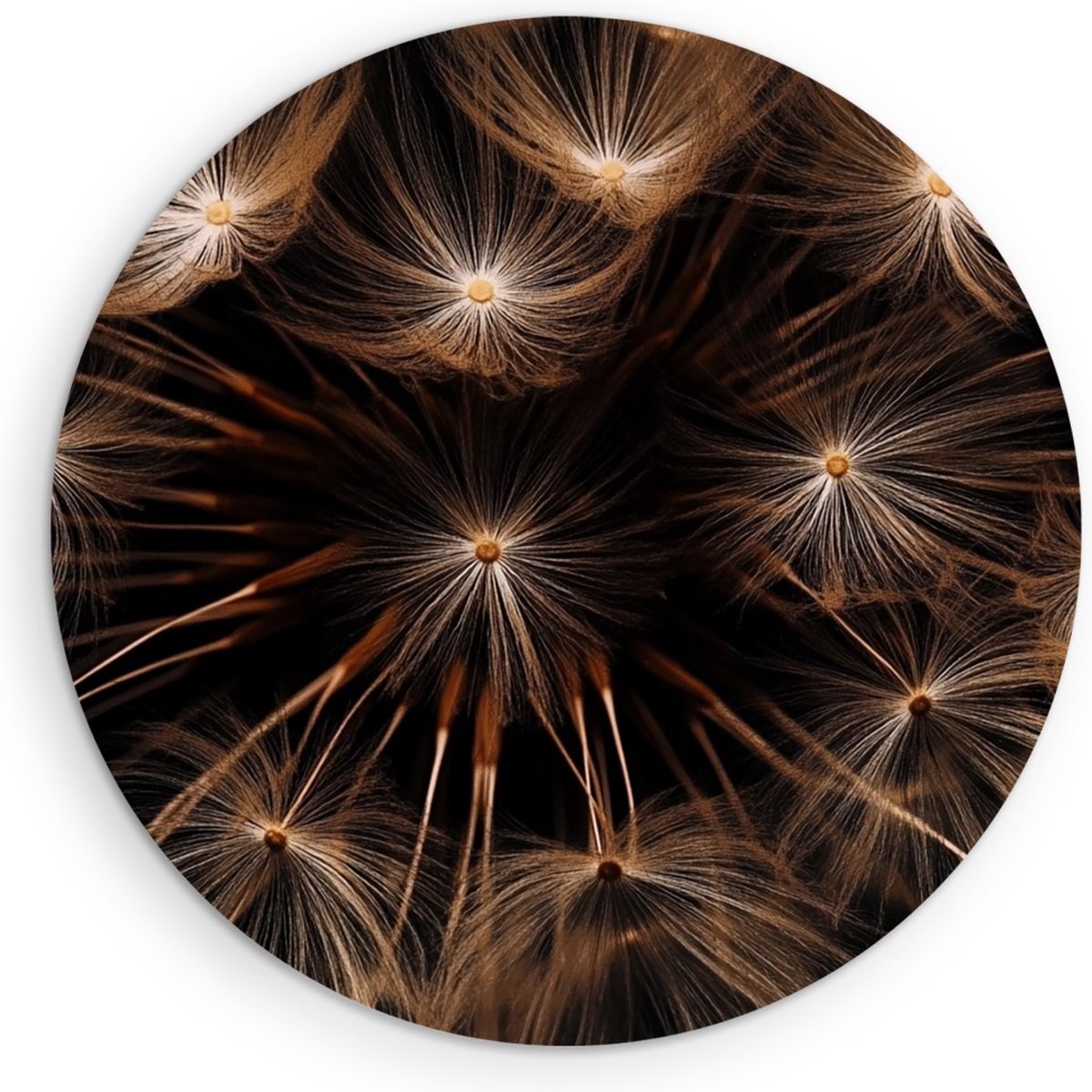 Saammp Forex Muurcirkel - Close-up paardenbloem - Bloemen - Natuur - Abstract - Ø 40 - Wandcirkel - Wanddecoratie Cirkel - Muurdecoratie Woonkamer - Kantoor Decoratie