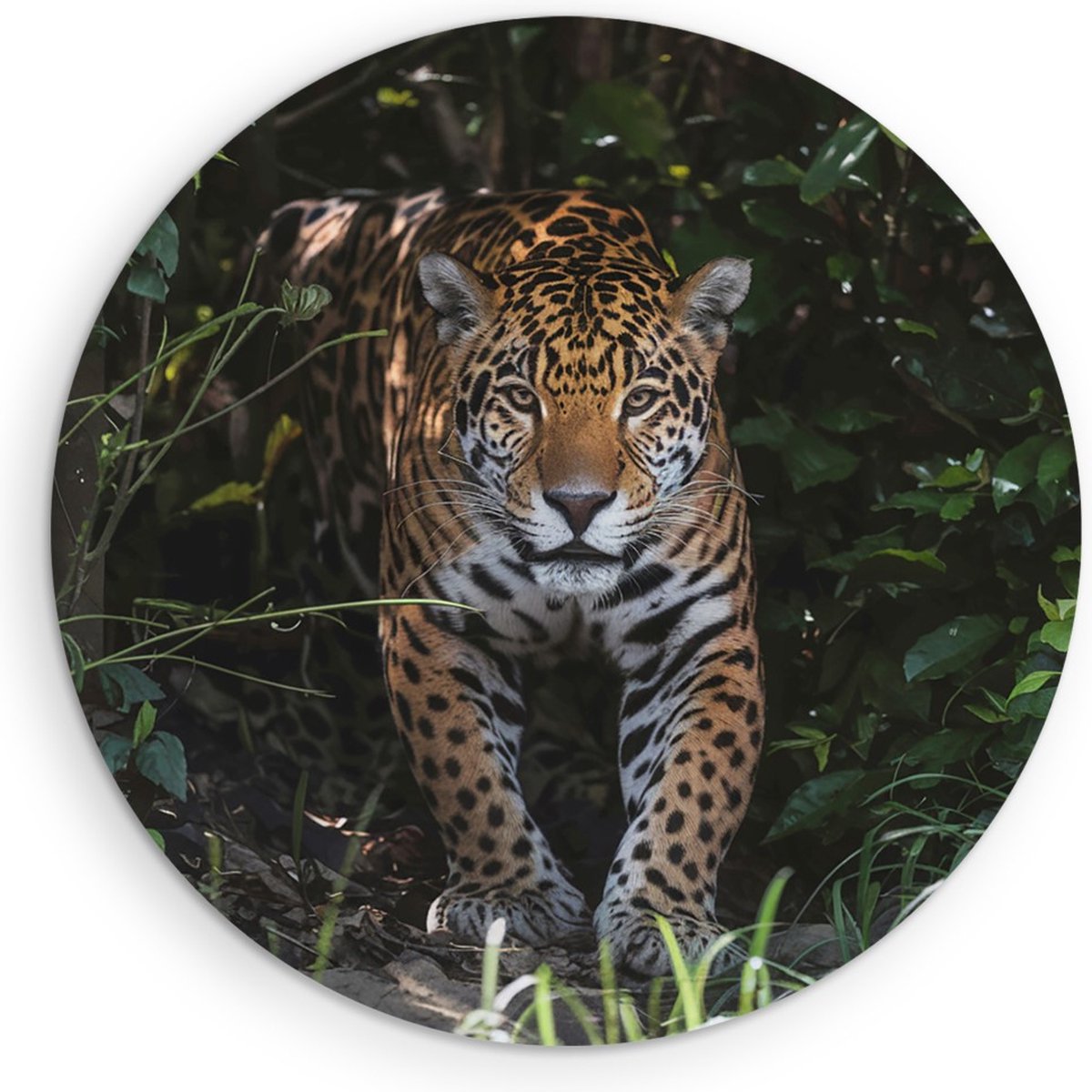 Saammp Muurcirkel Hout - Luipaard tussen de struiken - Natuur - Dieren - Ø 70 - Wandcirkel - Wanddecoratie Cirkel - Muurdecoratie Woonkamer - Slaapkamer decoratie - Rond Schilderij