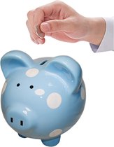 Tirelire Blauw Groot