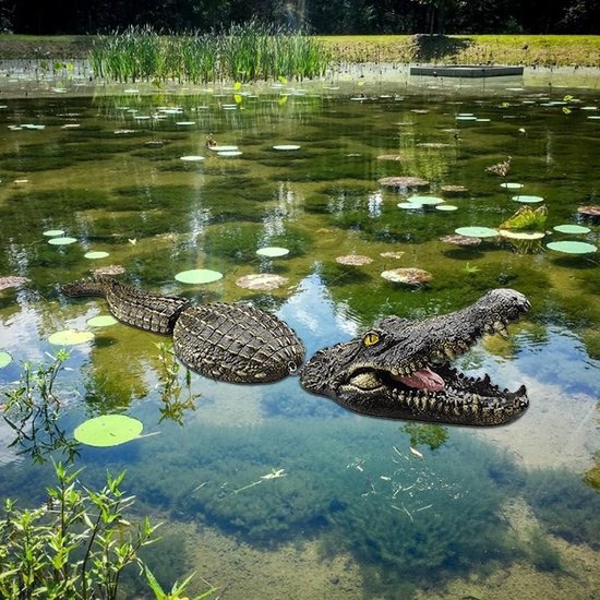 Drijvende Krokodilkop, Tuinvijver Waterornament Ornament Alligatorkop Valstrik met Schubben Ogen Tanden Poten Decoratie om Reiger Weg te Jagen,Crocodile